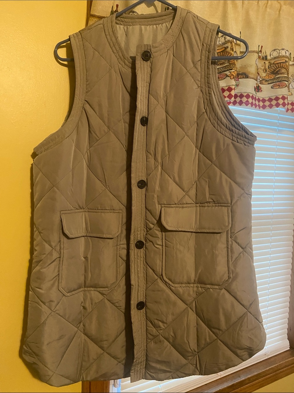 Quilted Sleeveless Button-Front Vest in Taupe